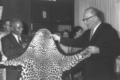 Pres. Dr. Kamuzu Banda Presenting P.M. Levy Eshkol with a Leopard Skin